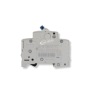 Allen Bradley 1492-spm2c630 Interruptor De Circuito 2 Polos